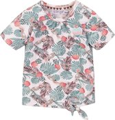 Dirkje baby meisjes t-shirt Wild At Heart Multi Color