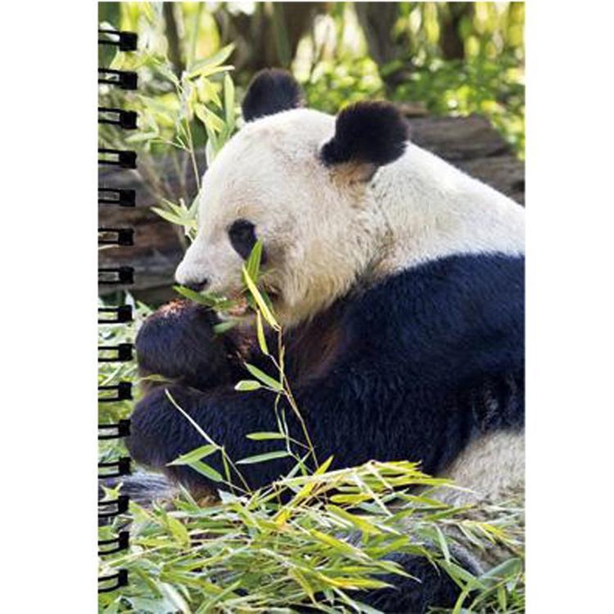 Notitieboekje 3d Panda blanco