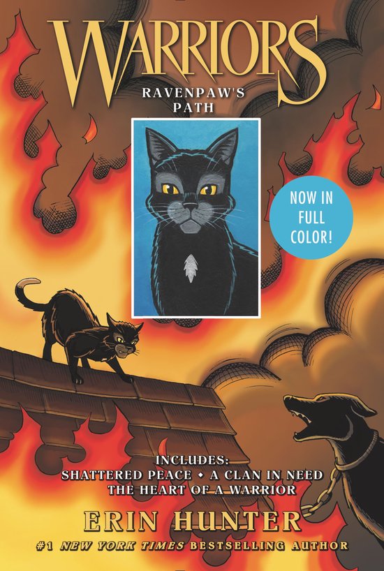 Warriors - Warriors: Ravenpaw's Path: 3 Full-Color Warriors  ... - cover