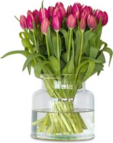 Multicolour (vrolijk) tulpen - 100 stuks