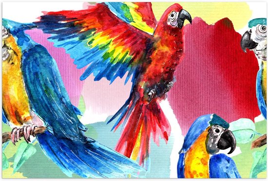 Poster – Geschilderde Papagaaien - 60x40cm Foto op Posterpapier