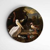 Muurcirkel de Pelikaan | Trendy classic | Oude meester - 60x60cm, Dibond