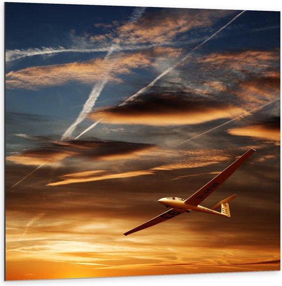 Dibond - Vliegtuig in Gouden Lucht - 100x100cm Foto op Aluminium (Met Ophangsysteem)