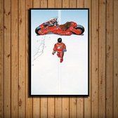 Akira Poster 1 - 40x60cm Canvas - Multi-color