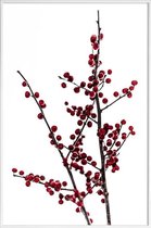 JUNIQE - Poster met kunststof lijst Red Berries 2 -13x18 /Rood & Wit