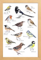 JUNIQE - Poster in houten lijst Vogel illustratie -20x30 /Kleurrijk