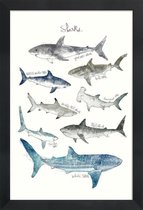 JUNIQE - Poster in houten lijst Haaien illustratie -40x60 /Blauw &