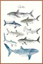 JUNIQE - Poster met kunststof lijst Haaien illustratie -60x90 /Blauw &