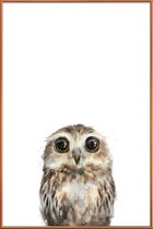 JUNIQE - Poster met kunststof lijst Uiltje illustratie -40x60 /Bruin &