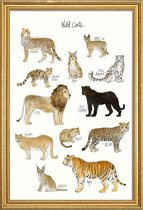 JUNIQE - Poster met houten lijst Wilde katten illustratie -30x45