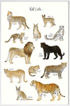 JUNIQE - Poster in kunststof lijst Wilde katten illustratie -40x60