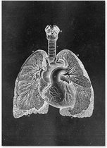 Anatomy Poster Lungs Black - 60x80cm Canvas - Multi-color