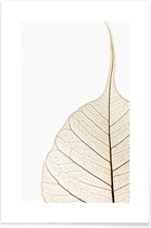JUNIQE - Poster Translucent Leaf -60x90 /Wit