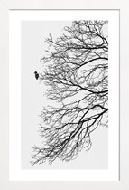 JUNIQE - Poster in houten lijst Winter Bird -60x90 /Grijs & Wit