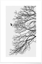 JUNIQE - Poster Winter Bird -20x30 /Grijs & Wit