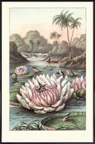 JUNIQE - Poster in kunststof lijst Water Lily -40x60 /Grijs & Groen