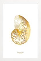 JUNIQE - Poster met houten lijst Nautilus Shell gouden -40x60 /Goud &