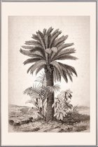 JUNIQE - Poster met kunststof lijst Sago Palm -40x60 /Grijs & Ivoor