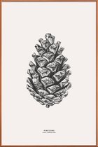 JUNIQE - Poster met kunststof lijst Pinecone -60x90 /Grijs & Ivoor