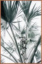 JUNIQE - Poster met kunststof lijst Beach Palm Fruits -40x60 /Grijs &