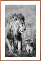 JUNIQE - Poster met kunststof lijst Lion Teaching His Cub -13x18