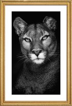 JUNIQE - Poster met houten lijst Lioness -60x90 /Grijs & Zwart