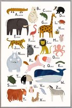 JUNIQE - Poster met kunststof lijst Tiere von A bis Z -30x45