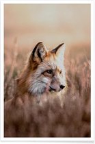 JUNIQE - Poster Fox in Reeds -30x45 /Bruin & Oranje