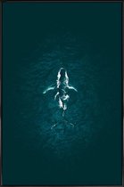 JUNIQE - Poster in kunststof lijst Humpback Breach -40x60 /Turkoois