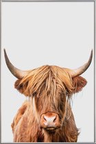 JUNIQE - Poster met kunststof lijst Highland Cow -60x90 /Bruin