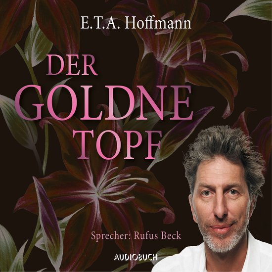Der goldne Topf - cover