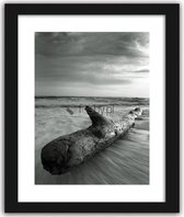 Foto in frame , Boom op zand  ​, 70x100cm , Zwart wit  , Premium print