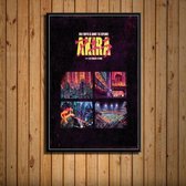 Akira Poster 10 - 50x70cm Canvas - Multi-color