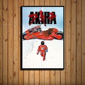 Akira Poster 8 - 30x40cm Canvas - Multi-color