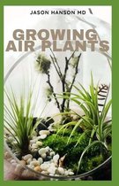 Growing Air Plants