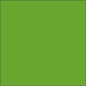 Plakfolie - Oracal - Lime Groen – Mat – 126 cm x 20 m - Meubelfolie - Interieurfolie - Zelfklevend