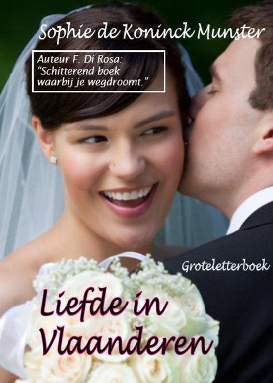 Liefde in Vlaanderen - cover