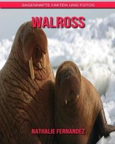 Walross