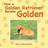 How a Golden Retriever Became Golden