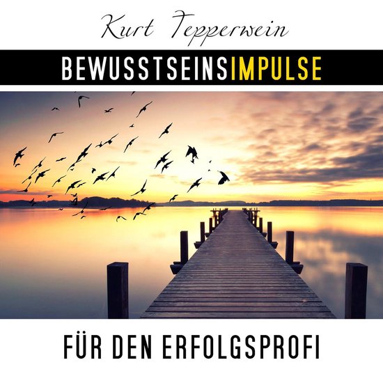 Bewusstseinsimpulse für den Erfolgsprofi - cover