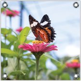 Tuinposter –Vlinder op Roze Bloem -80x80  Foto op Tuinposter  (wanddecoratie voor buiten en binnen)