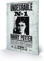 HARRY POTTER - Printing on wood 40X59 - Undesirable N° 1