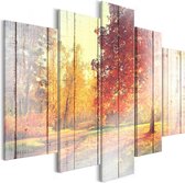 Schilderijen Op Canvas - Schilderij - Autumn Sun (5 Parts) Wide 100x50 - Artgeist Schilderij