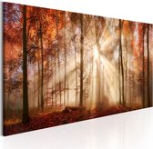 Schilderijen Op Canvas - Schilderij - Autumnal Dawn 150x50 - Artgeist Schilderij