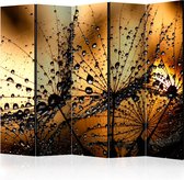 Kamerscherm - Scheidingswand - Vouwscherm - Dandelions in the Rain II [Room Dividers] 225x172 - Artgeist Vouwscherm