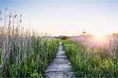 Canvas Schilderij Riet en Steiger