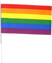 Zac's Alter Ego Vlag Handheld Rainbow Multicolours