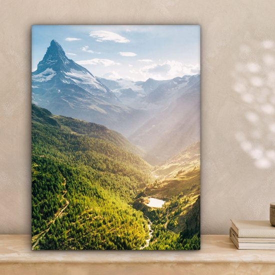 Tableau sur toile Montagnes - Plantes - Paysage - 30x40 cm - Décoration murale