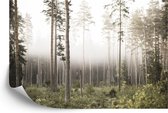 Fotobehang Bos In Mist - Vliesbehang - 416 x 290 cm