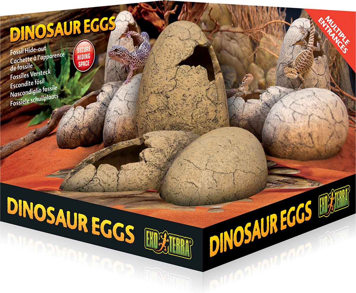 Fossil Hide-out Dinosauer eggs
